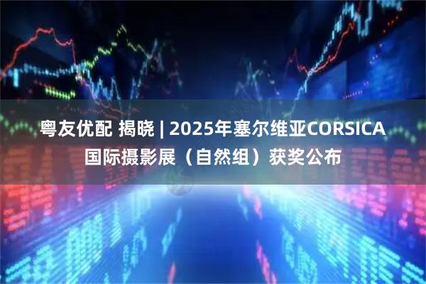 粤友优配 揭晓 | 2025年塞尔维亚CORSICA国际摄影展（自然组）获奖公布