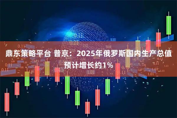 鼎东策略平台 普京：2025年俄罗斯国内生产总值预计增长约1%
