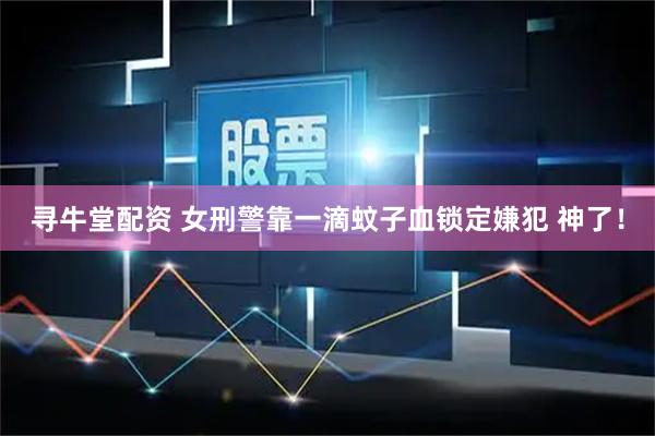 寻牛堂配资 女刑警靠一滴蚊子血锁定嫌犯 神了！